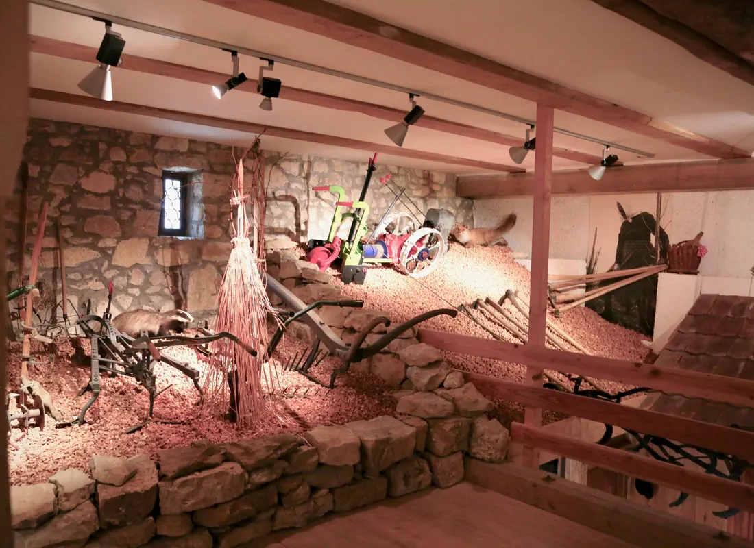 Ausstellung & Vitrinen