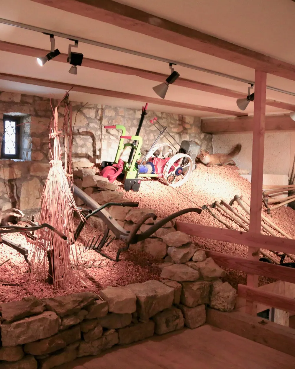 Ausstellung & Vitrinen