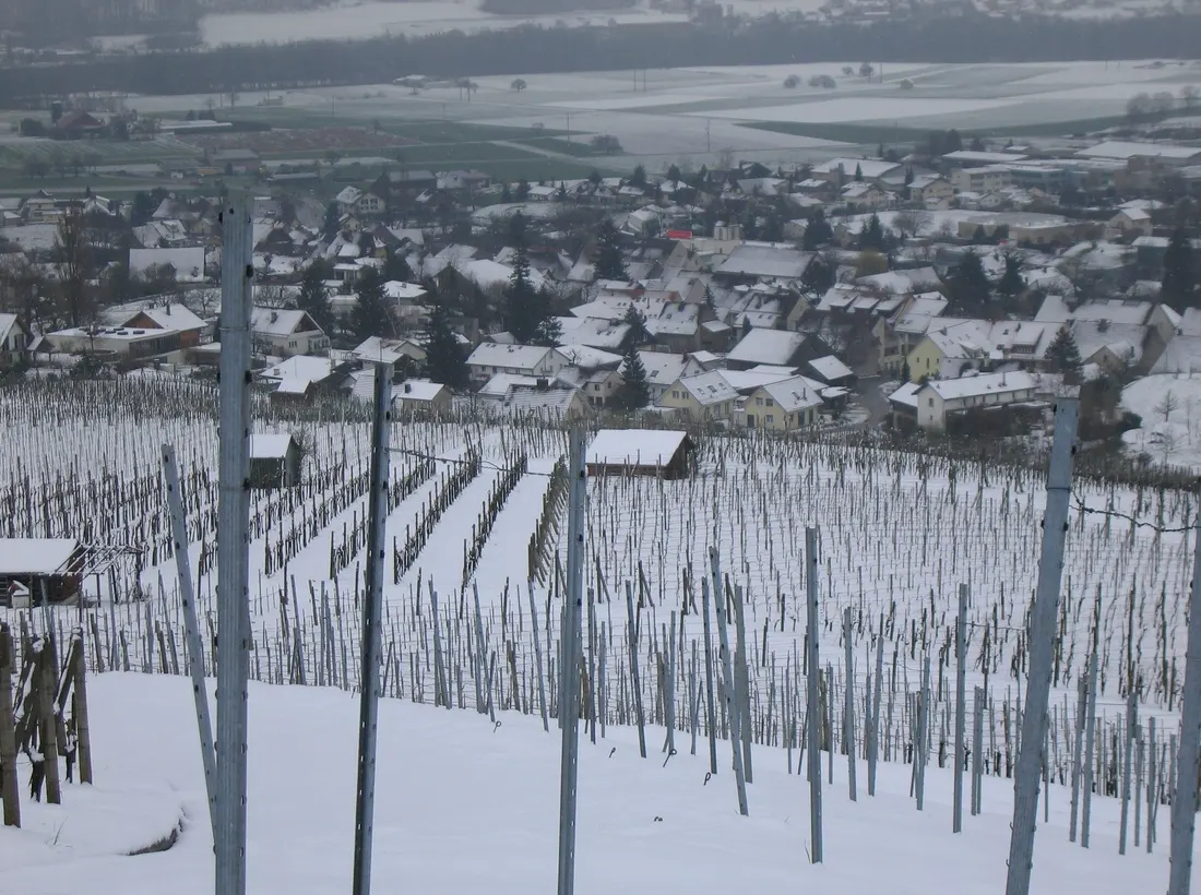 Schenkenbergertal / Aarau